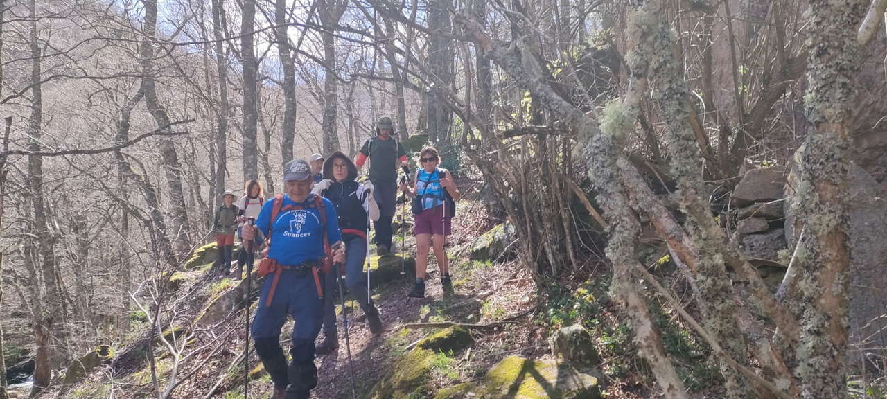 WhatsApp Image 2026-04-08 at 07.40.55 (8)